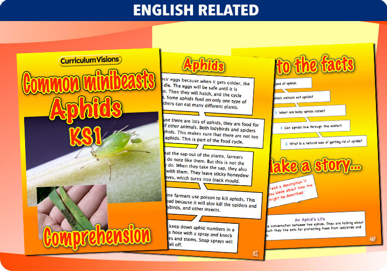 Curriculum Visions teacher cross-curricular minibeasts resource