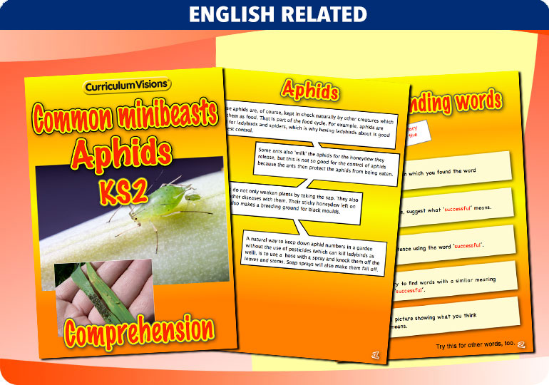 Curriculum Visions teacher cross-curricular minibeasts resource