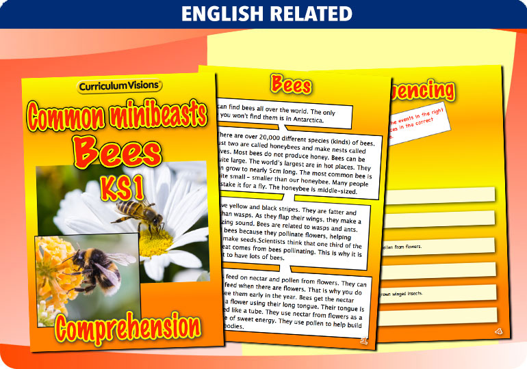 Curriculum Visions teacher cross-curricular minibeasts resource