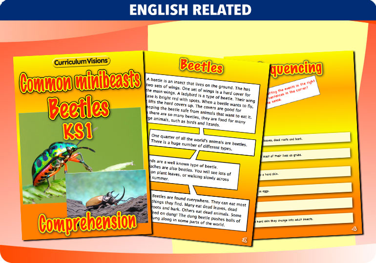 Curriculum Visions teacher cross-curricular minibeasts resource