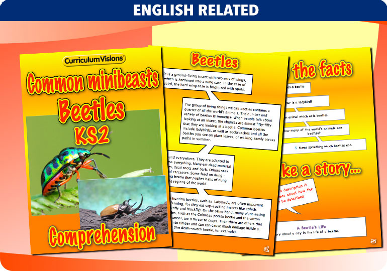 Curriculum Visions teacher cross-curricular minibeasts resource