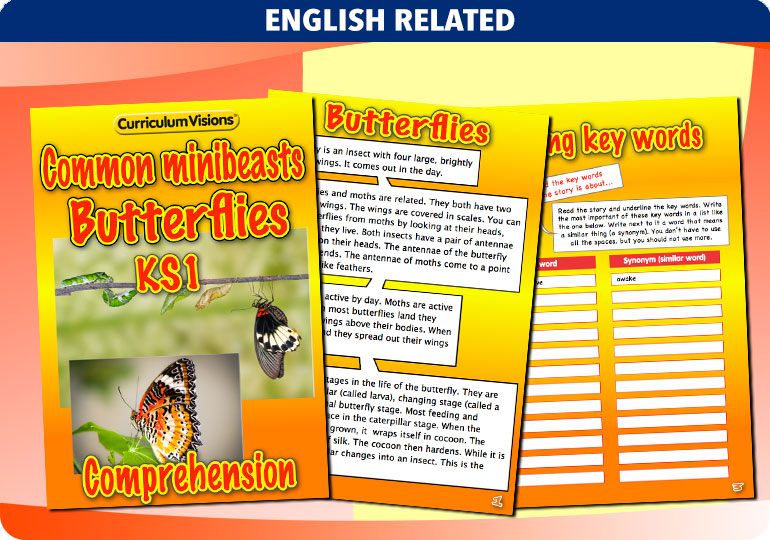 Curriculum Visions teacher cross-curricular minibeasts resource