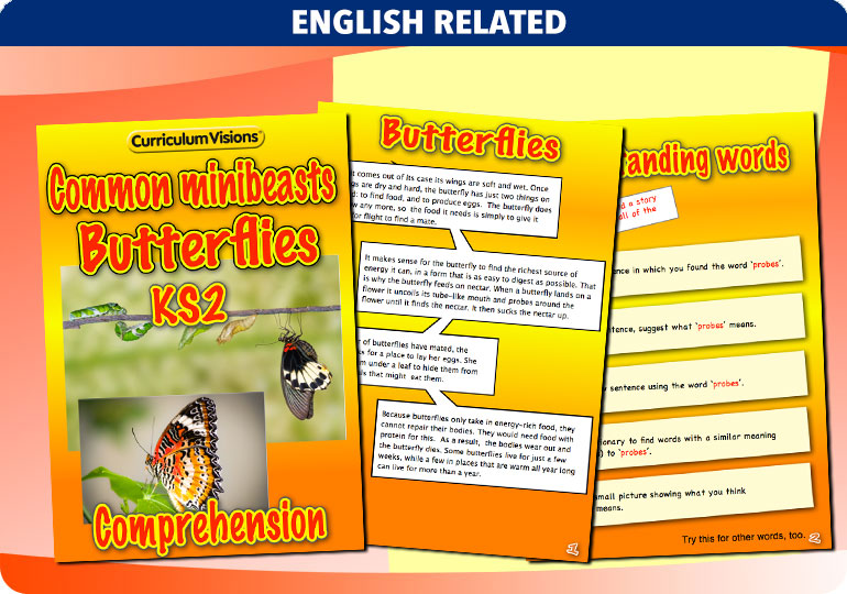 Curriculum Visions teacher cross-curricular minibeasts resource