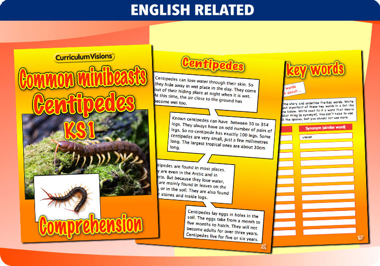 Curriculum Visions teacher cross-curricular minibeasts resource