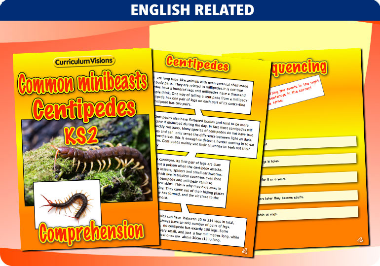 Curriculum Visions teacher cross-curricular minibeasts resource