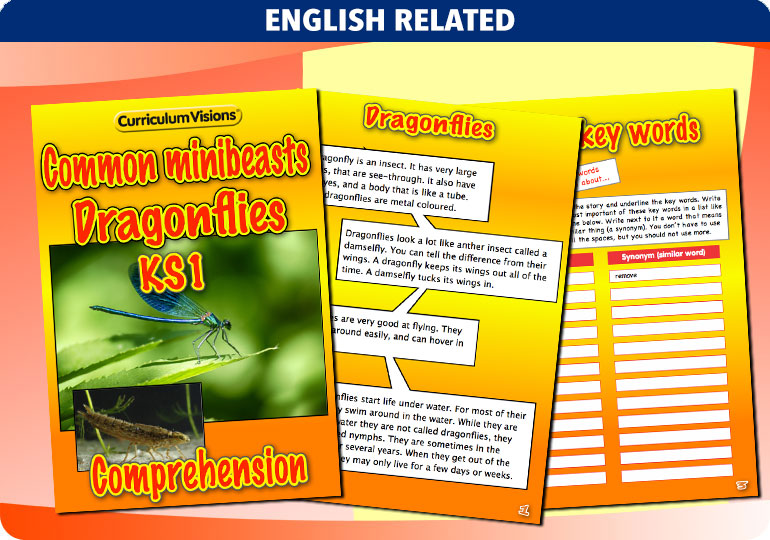 Curriculum Visions teacher cross-curricular minibeasts resource