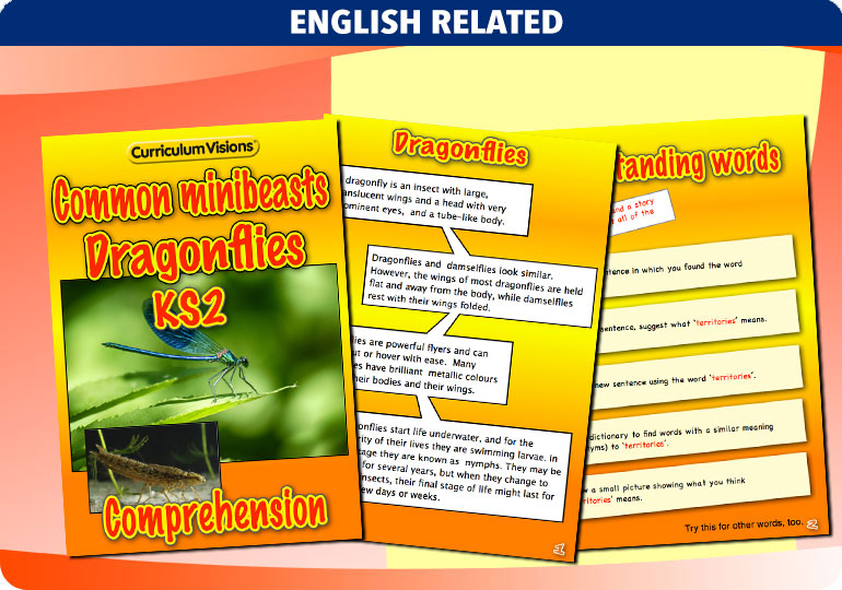 Curriculum Visions teacher cross-curricular minibeasts resource