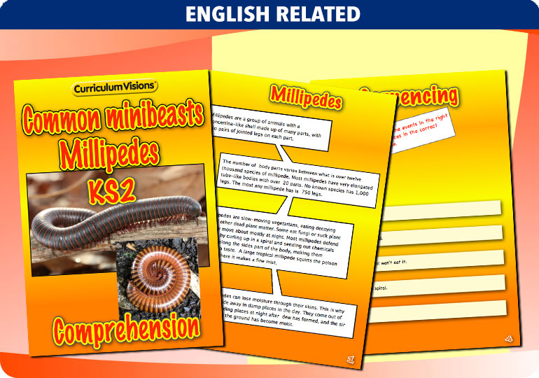 Curriculum Visions teacher cross-curricular minibeasts resource