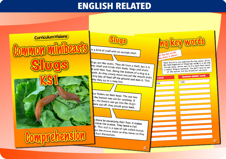 Curriculum Visions teacher cross-curricular minibeasts resource