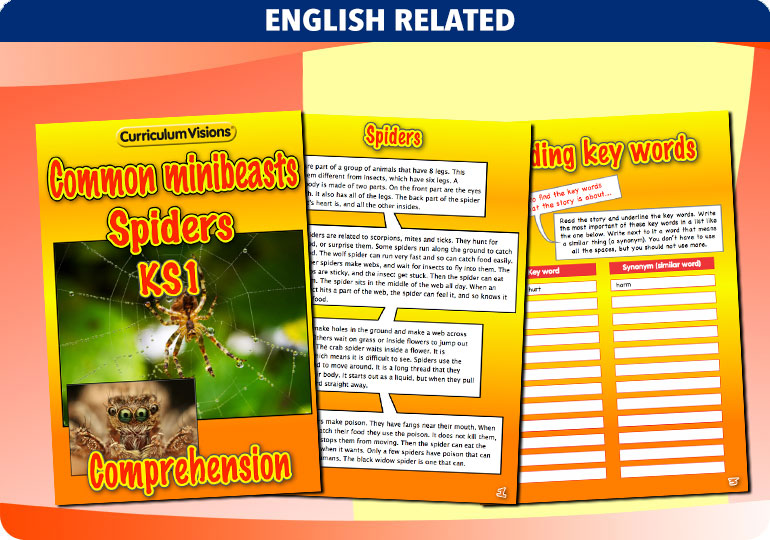 Curriculum Visions teacher cross-curricular minibeasts resource