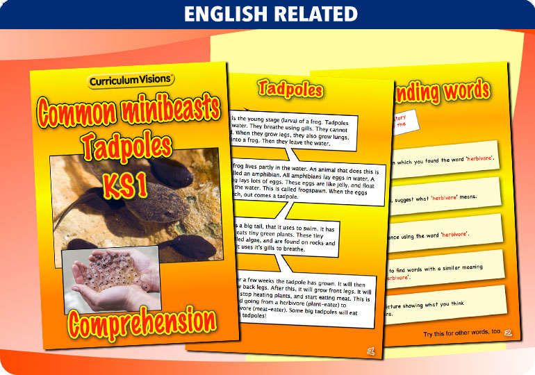 Curriculum Visions teacher cross-curricular minibeasts resource