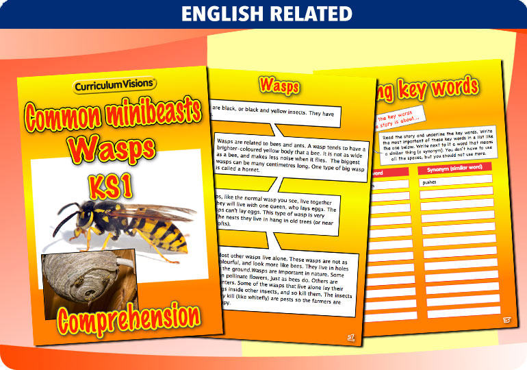 Curriculum Visions teacher cross-curricular minibeasts resource