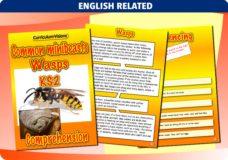 Curriculum Visions teacher cross-curricular minibeasts resource