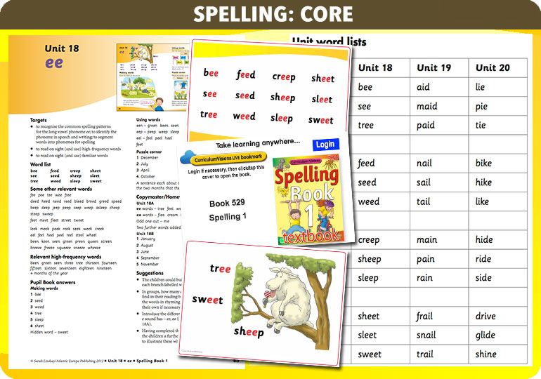 Curriculum Visions teacher year 1 year 2 literacy english resource