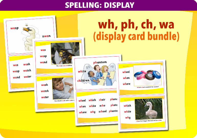 Curriculum Visions teacher spelling and vocabulary literacy english resource