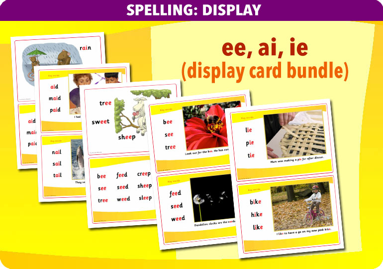 Curriculum Visions teacher spelling and vocabulary literacy english resource