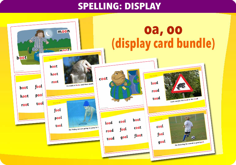 Curriculum Visions teacher spelling and vocabulary literacy english resource