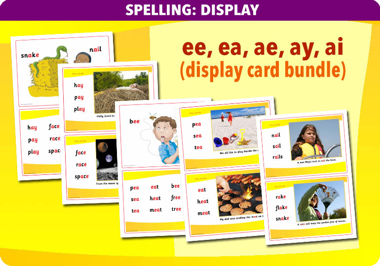 Curriculum Visions teacher spelling and vocabulary literacy english resource