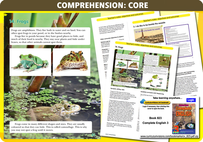 Curriculum Visions teacher year 3 ks2 literacy english resource