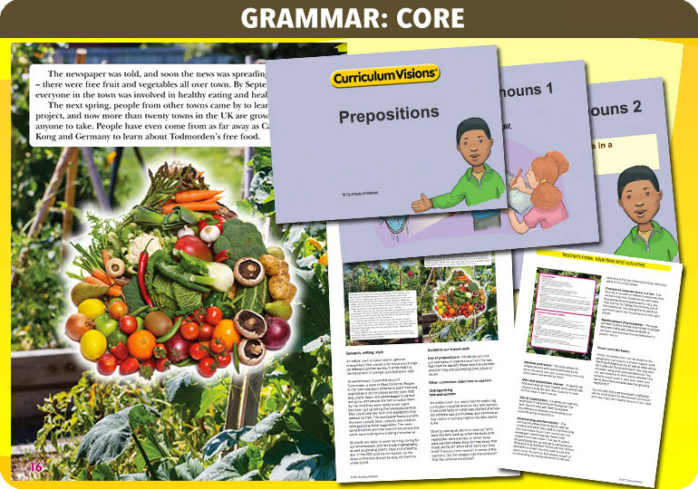 Curriculum Visions teacher year 3 ks2 literacy english resource