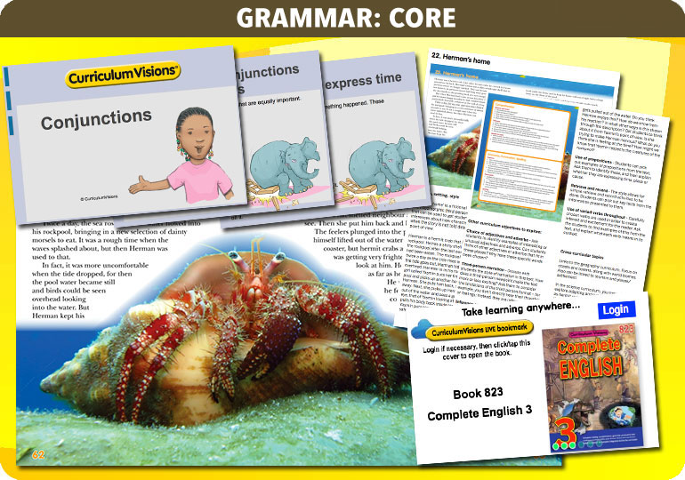 Curriculum Visions teacher year 3 ks2 literacy english resource