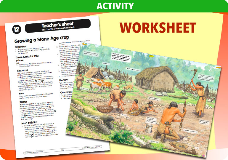 Curriculum Visions teacher the stone age history resource