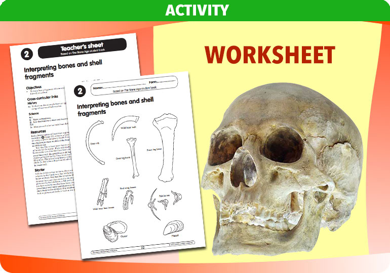 Curriculum Visions teacher the stone age history resource