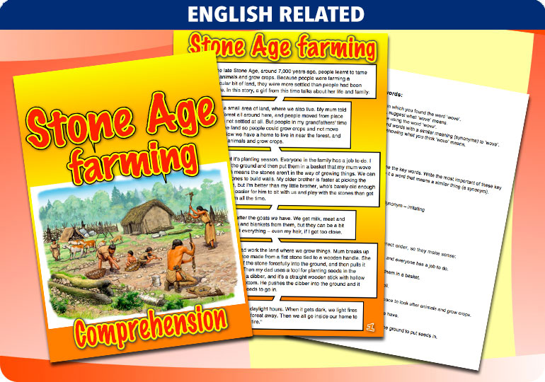 Curriculum Visions teacher the stone age history resource