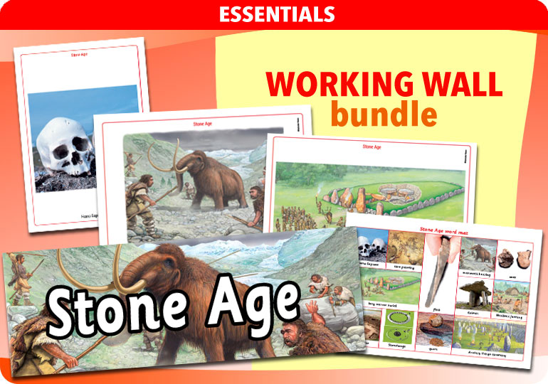 Curriculum Visions teacher the stone age history resource