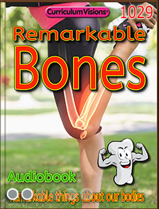 Bone book cover