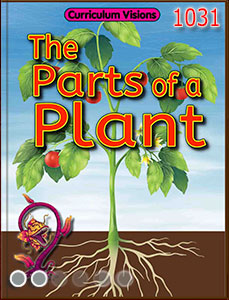 Parts of a plant