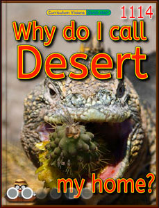 Why desert home