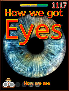 How we got eyes
