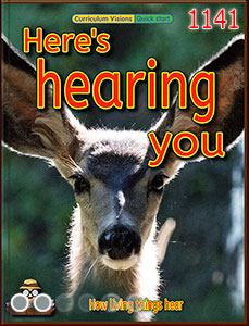 Here's hearing you