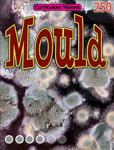 Mould