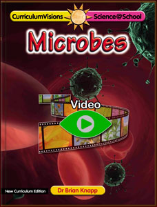 Microbes - textbook cover