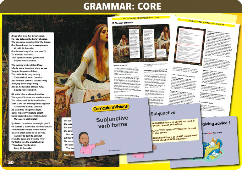 Curriculum Visions teacher year 6 ks2 literacy english resource
