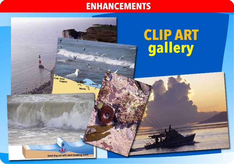 Curriculum Visions teacher coast, oceans and seaside geography resource