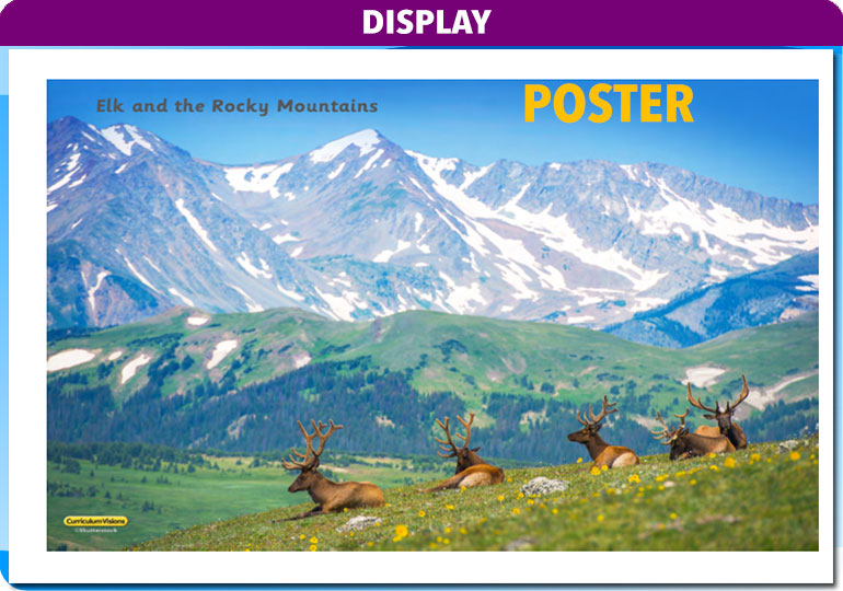 Curriculum Visions teacher mountain, volcanoes and earthquakes geography resource