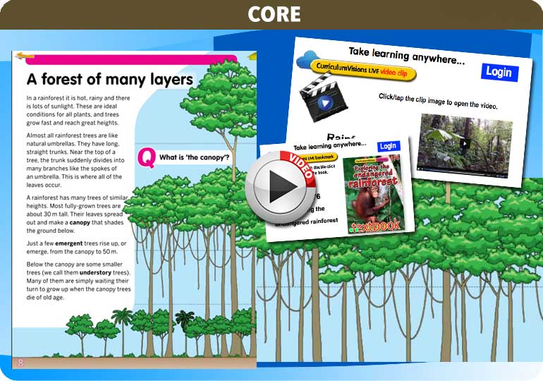 Curriculum Visions teacher rainforest geography resource