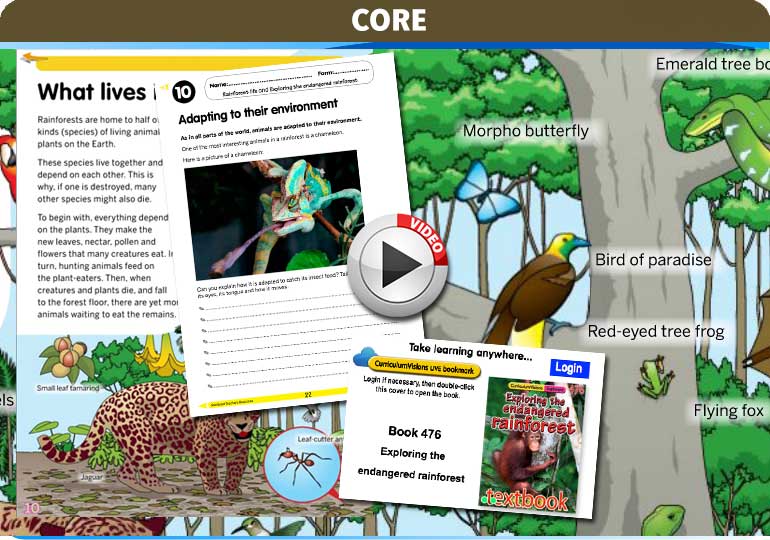 Curriculum Visions teacher rainforest geography resource