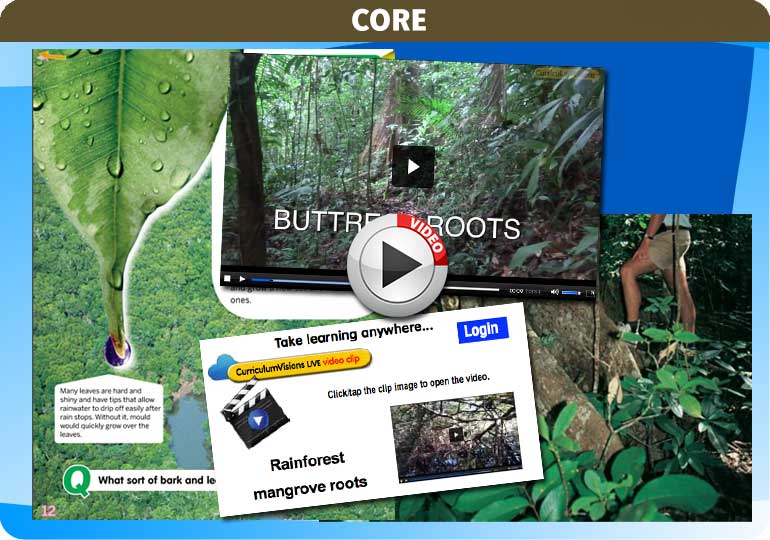 Curriculum Visions teacher rainforest geography resource