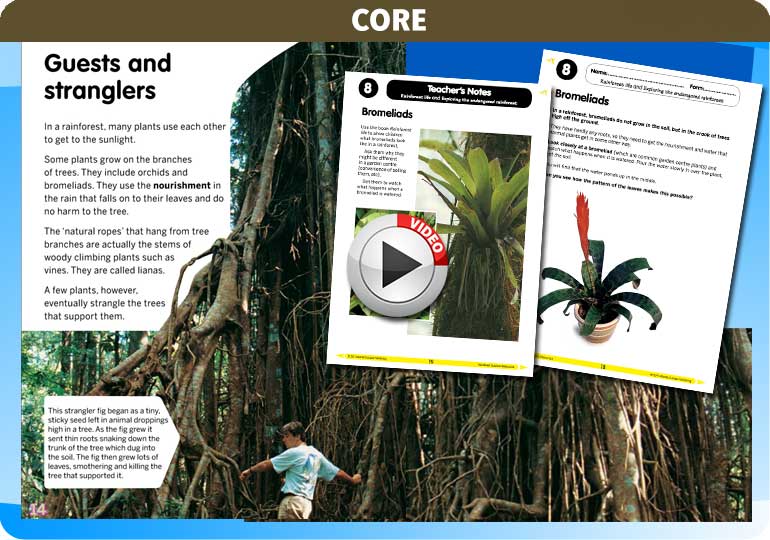 Curriculum Visions teacher rainforest geography resource