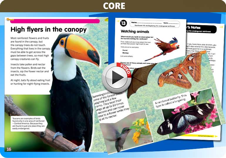 Curriculum Visions teacher rainforest geography resource