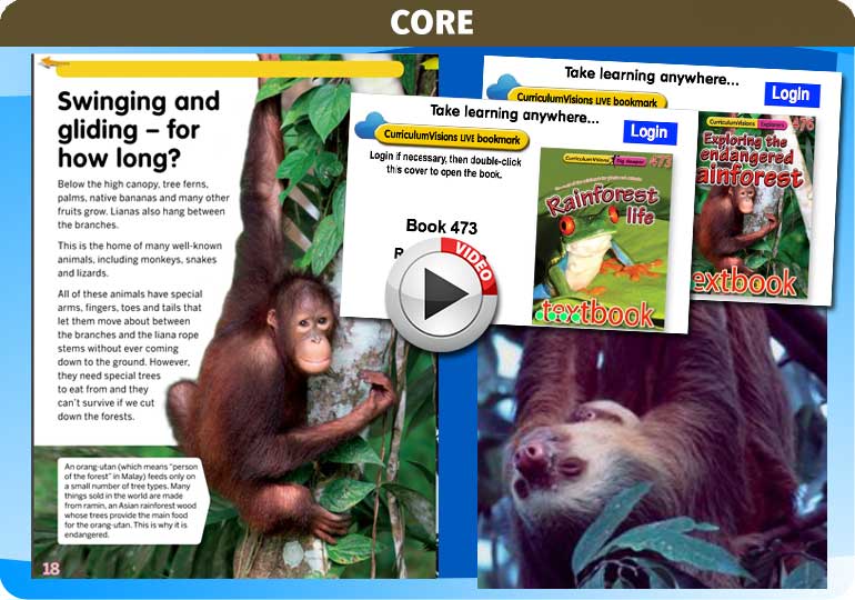 Curriculum Visions teacher rainforest geography resource