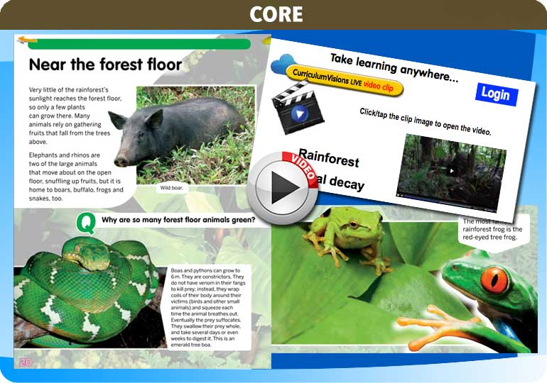 Curriculum Visions teacher rainforest geography resource