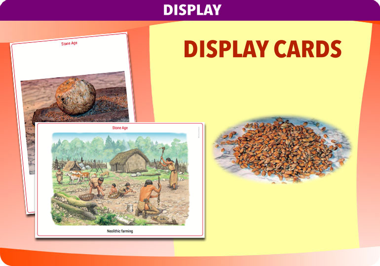 Curriculum Visions teacher the stone age history resource