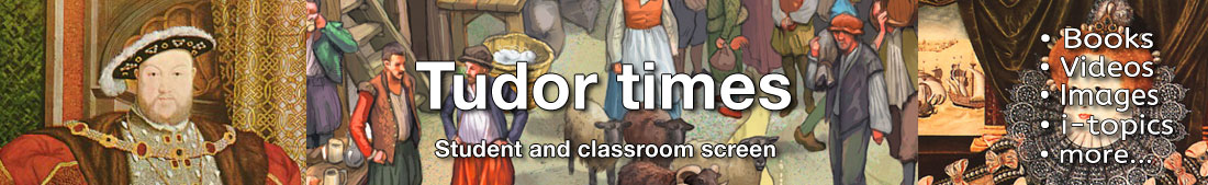 Tudors topic banner