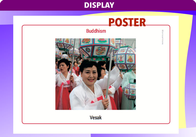 Curriculum Visions teacher buddhism resource