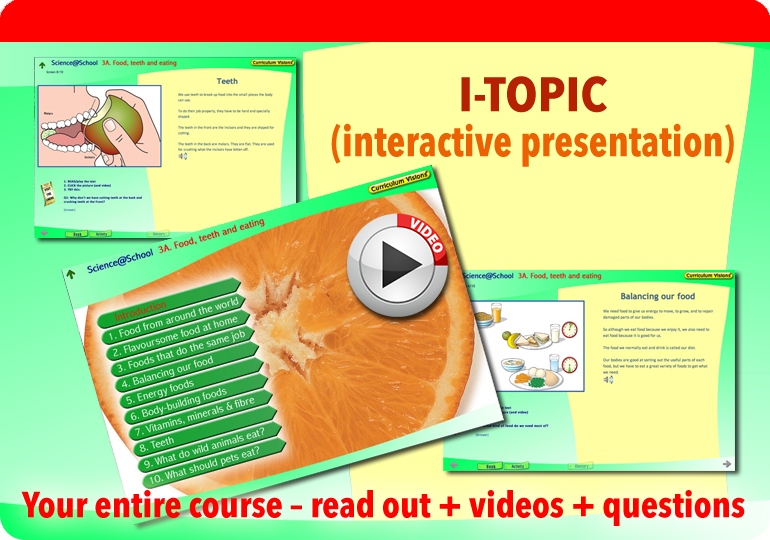 Interactive presentation